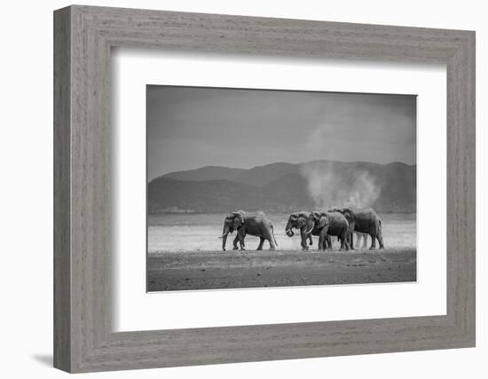 Amboseli Park,Kenya,Africa a Family of Elephants in Amboseli Kenya-ClickAlps-Framed Photographic Print