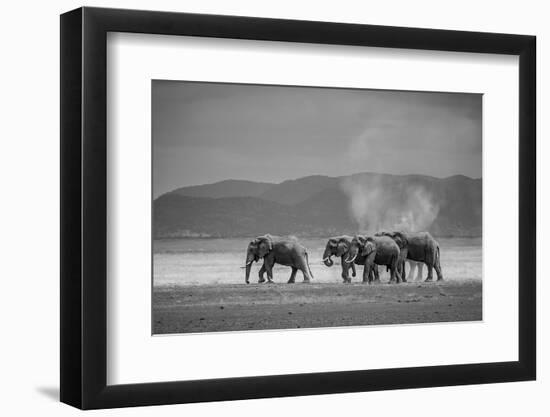 Amboseli Park,Kenya,Africa a Family of Elephants in Amboseli Kenya-ClickAlps-Framed Photographic Print