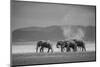 Amboseli Park,Kenya,Africa a Family of Elephants in Amboseli Kenya-ClickAlps-Mounted Photographic Print