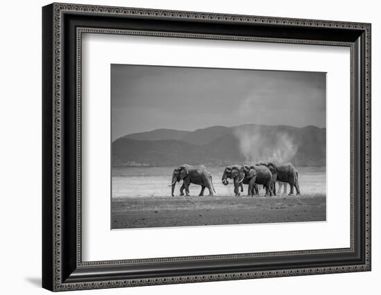 Amboseli Park,Kenya,Africa a Family of Elephants in Amboseli Kenya-ClickAlps-Framed Photographic Print