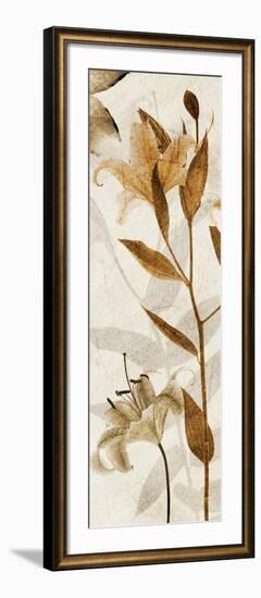 Ambre Antique I-Thea Schrack-Framed Giclee Print