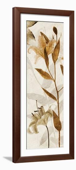 Ambre Antique I-Thea Schrack-Framed Giclee Print