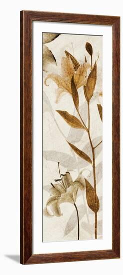 Ambre Antique I-Thea Schrack-Framed Giclee Print