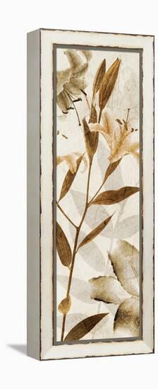 Ambre Antique II-Thea Schrack-Framed Premier Image Canvas