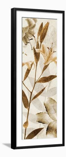 Ambre Antique II-Thea Schrack-Framed Giclee Print