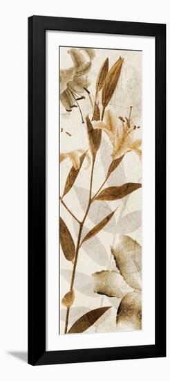 Ambre Antique II-Thea Schrack-Framed Giclee Print