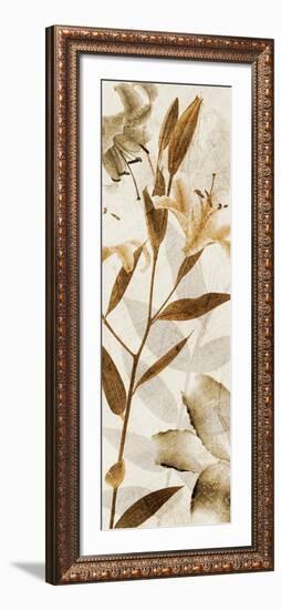 Ambre Antique II-Thea Schrack-Framed Giclee Print