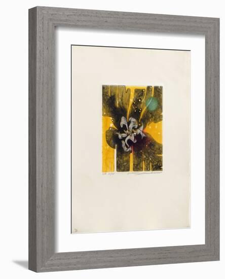 Ambre-null-Framed Limited Edition