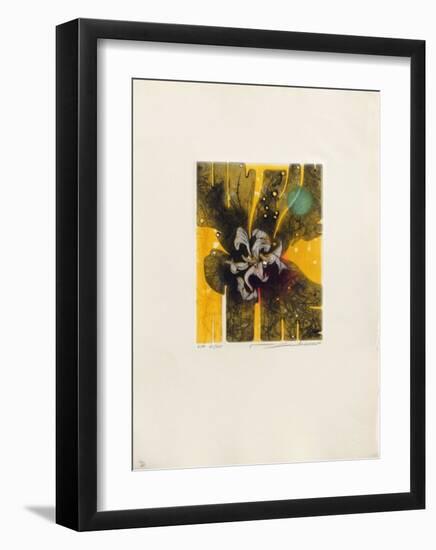 Ambre-null-Framed Limited Edition