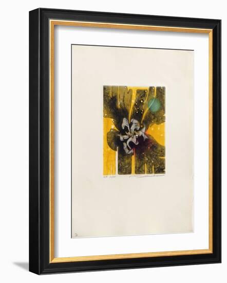 Ambre-null-Framed Limited Edition