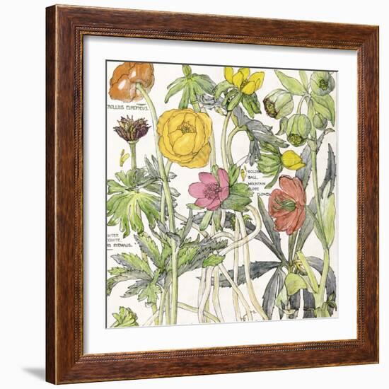 Ambrosia 6-Color Bakery-Framed Giclee Print