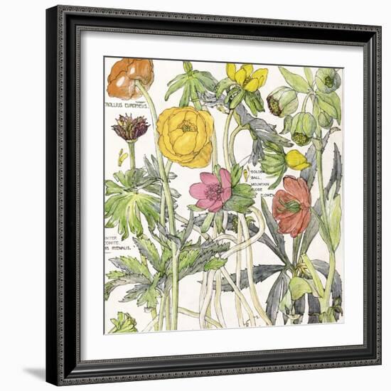 Ambrosia 6-Color Bakery-Framed Giclee Print