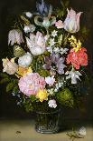 Still Life with Flowers and Insects-Ambrosius The Elder Bosschaert-Giclee Print
