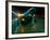 Ambulance Speeding Highway Accident Victim to Hospital at Night-Ralph Crane-Framed Photographic Print