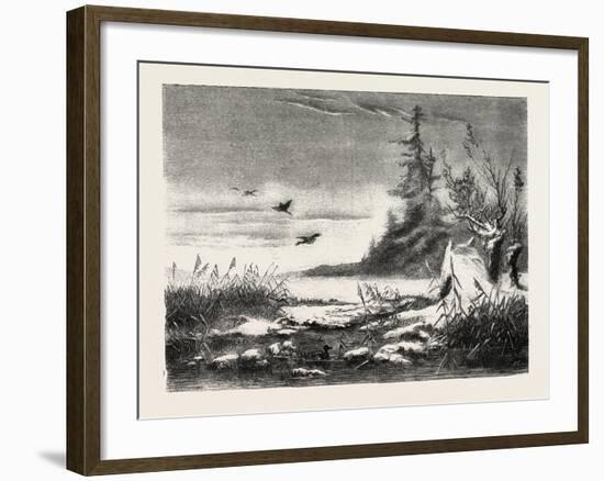 Ambush for Duck Shooting, 1882-null-Framed Giclee Print