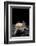 Ambystoma Mexicanum F. Leucistic (Axolotl)-Paul Starosta-Framed Photographic Print