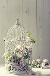 Bird Cage Filled with Apple Tree Blossom with Vintage Effect-Amd Images-Photographic Print