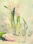 Spring Hyacinth Flowers in Vintage Glass Bottles-Amd Images-Photographic Print
