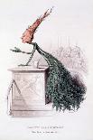The Hasty Asparagus, from 'L'Empire Des Legumes, Memoires De Curcurbitus'-Amedee Varin-Giclee Print