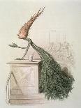 A Country Stroller, from 'L'Empire Des Legumes, Memoires De Curcurbitus'-Amedee Varin-Giclee Print