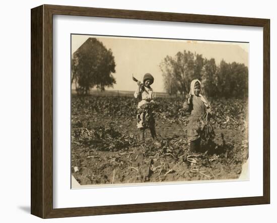 Amelia and Mary Luft, 9 and 12, Cutting Sugar Beet on Farm Near Sterling, Colorado, 1915-Lewis Wickes Hine-Framed Photographic Print