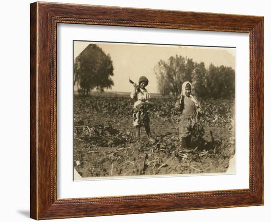 Amelia and Mary Luft, 9 and 12, Cutting Sugar Beet on Farm Near Sterling, Colorado, 1915-Lewis Wickes Hine-Framed Photographic Print