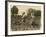 Amelia and Mary Luft, 9 and 12, Cutting Sugar Beet on Farm Near Sterling, Colorado, 1915-Lewis Wickes Hine-Framed Photographic Print