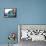 Amelia Earhart-Severino Baraldi-Framed Premier Image Canvas displayed on a wall