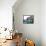 Amelia Earhart-Severino Baraldi-Framed Premier Image Canvas displayed on a wall