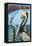Amelia Island, Florida - Brown Pelican-Lantern Press-Framed Stretched Canvas