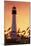Amelia Island, Florida - Lighthouse and Seagrass-Lantern Press-Mounted Art Print