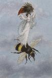 A Fairy Holding a Leaf, Sitting on a Snail Above a Rose-Amelia Jane Murray-Giclee Print