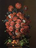 Poppies in a Terracotta Vase, 2000-Amelia Kleiser-Giclee Print