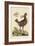 Amercan Partridge-Mark Catesby-Framed Art Print