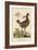 Amercan Partridge-Mark Catesby-Framed Art Print