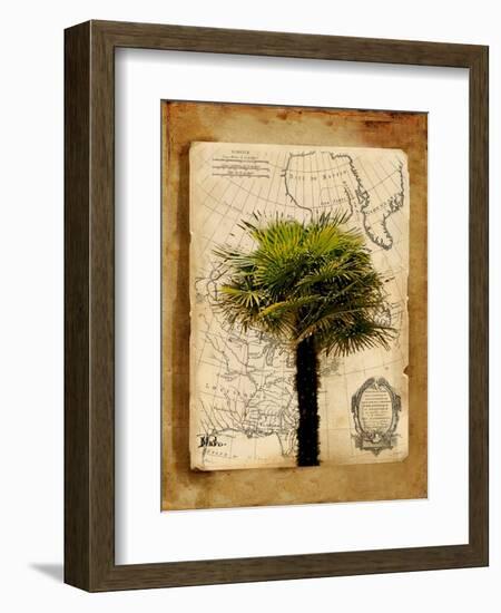 America I-Patricia Pinto-Framed Art Print