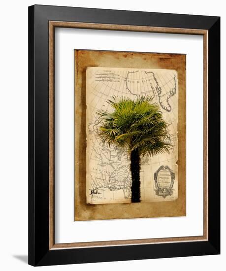 America I-Patricia Pinto-Framed Art Print