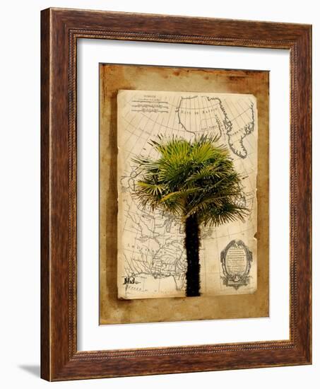 America I-Patricia Pinto-Framed Art Print