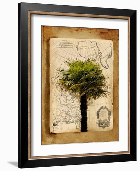 America I-Patricia Pinto-Framed Art Print