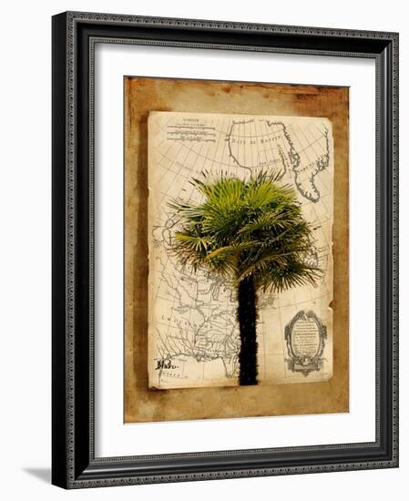 America I-Patricia Pinto-Framed Art Print