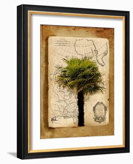 America I-Patricia Pinto-Framed Art Print