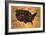 America Map Coffee Bean Producer on Old Paper-NatanaelGinting-Framed Art Print