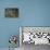 America's Bird-Susann Parker-Framed Premier Image Canvas displayed on a wall