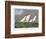 America's Cup, 1885-Currier & Ives-Framed Giclee Print