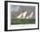 America's Cup, 1885-Currier & Ives-Framed Giclee Print