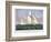 America's Cup, 1886-Currier & Ives-Framed Premium Giclee Print