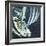 "America's Cup," August 22, 1964-John Zimmerman-Framed Giclee Print