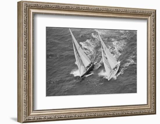 America's Cup Competitors-Alan Altman-Framed Photographic Print