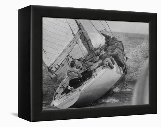 America's Cup Contender Weatherly Racing-null-Framed Premier Image Canvas