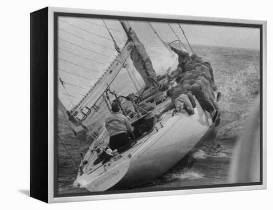 America's Cup Contender Weatherly Racing-null-Framed Premier Image Canvas